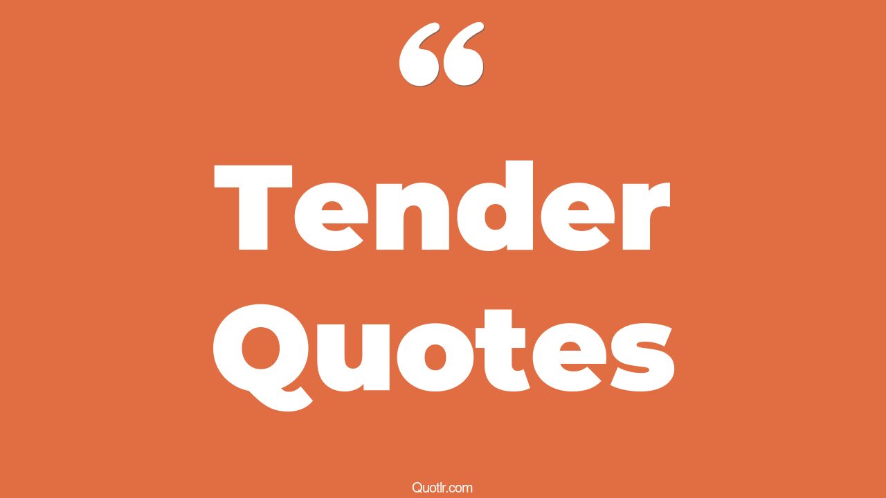 35 Profound Being Tender Quotes love me tender, love tender quotes