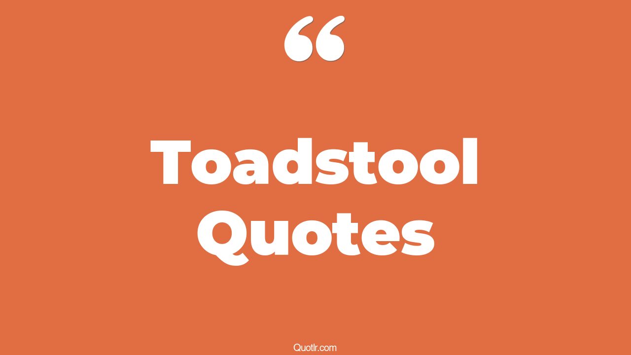 13+ EyeOpening Toadstool Quotes That Will Inspire Your Inner Self