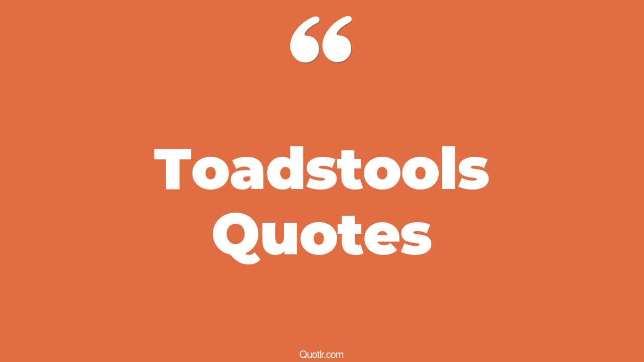 13+ EyeOpening Toadstools Quotes That Will Inspire Your Inner Self