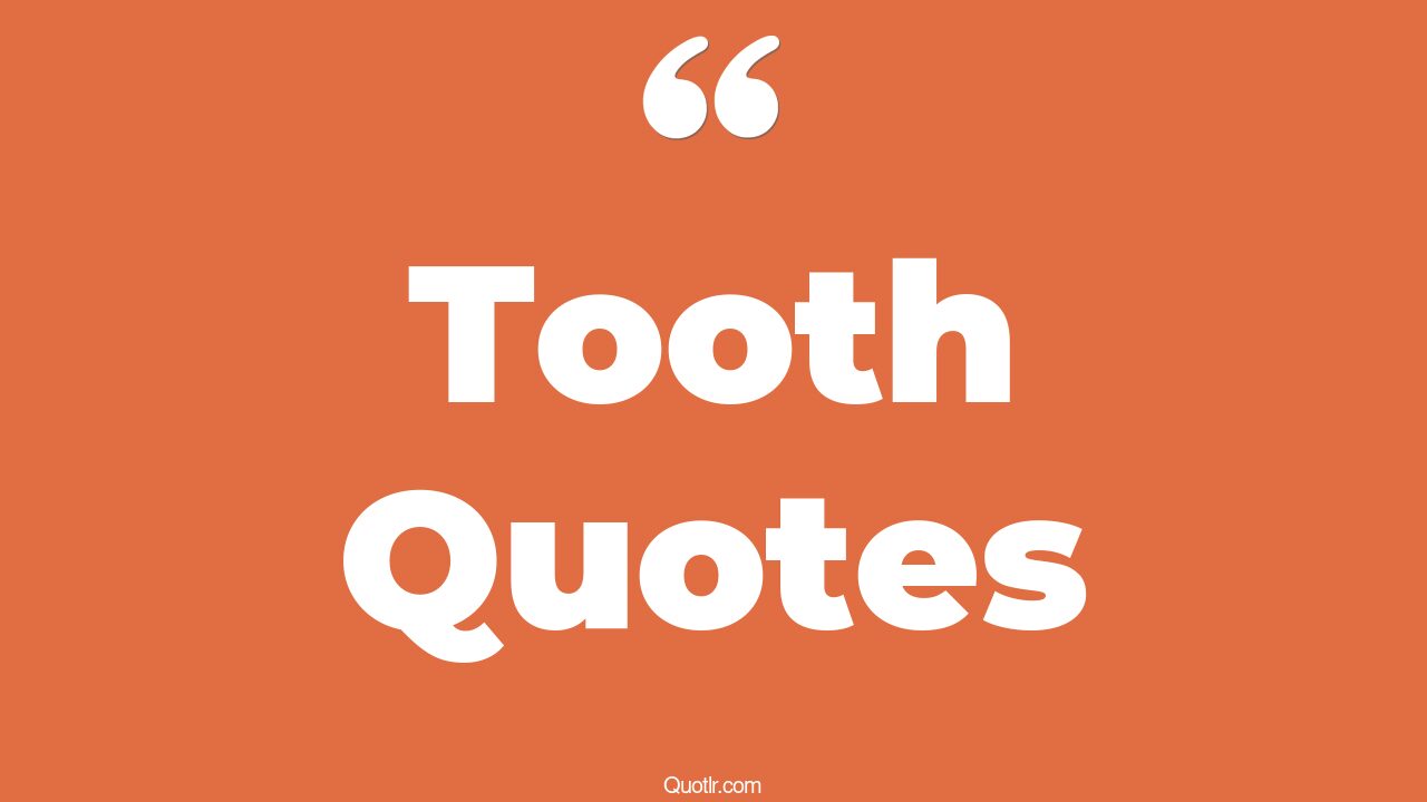 45+ Belligerent Tooth Quotes That Will Unlock Your True Potential