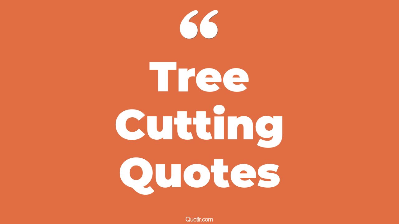 45 Surprising Christmas Tree Cutting Quotes cutting down tree, tree