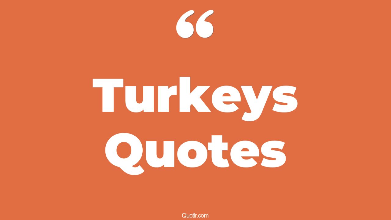 122 Useful Turkeys Quotes (thanksgiving turkey, pray for turkey