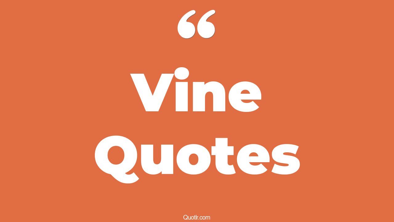 45+ Emotional Vine Quotes That Will Unlock Your True Potential