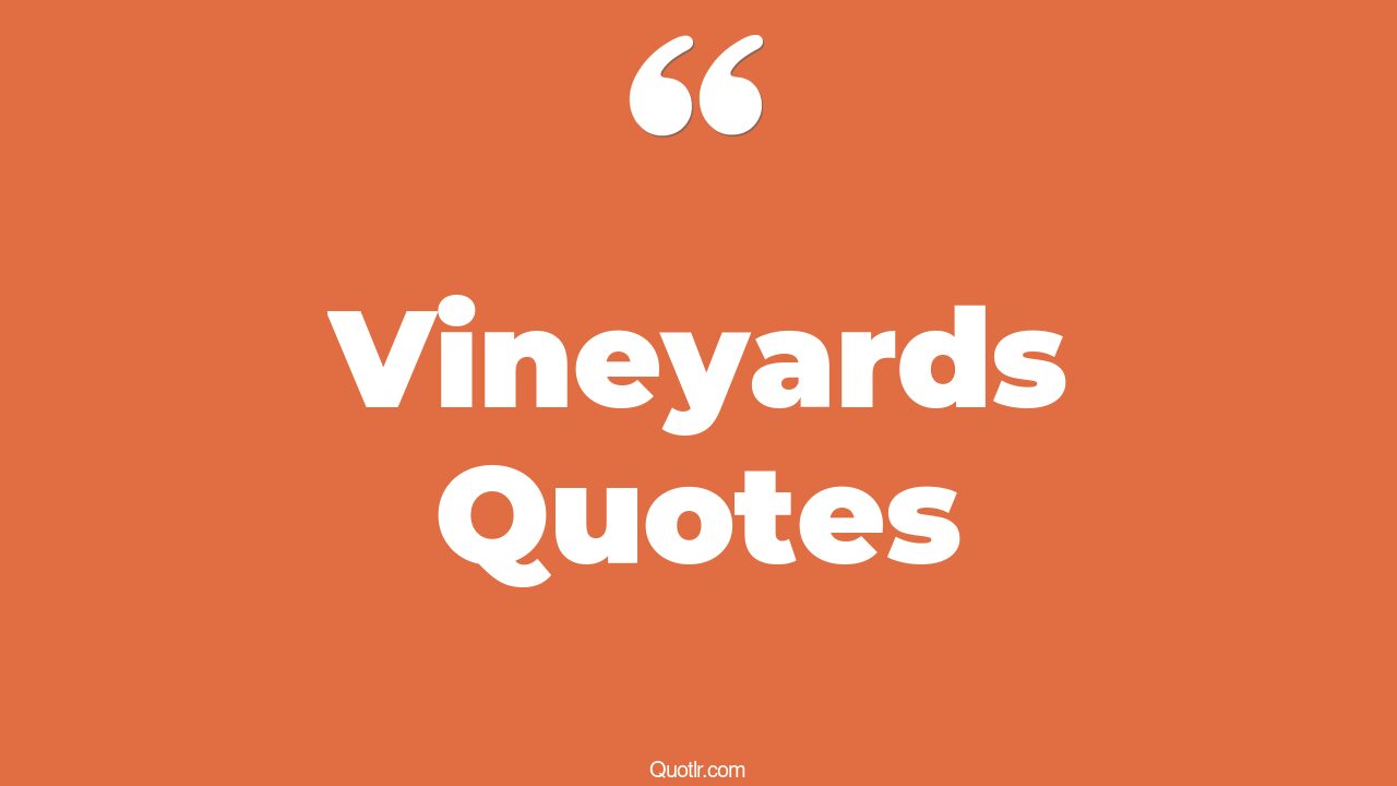 104 Glamorous Vineyards Quotes (martha's vineyard, wine vineyard