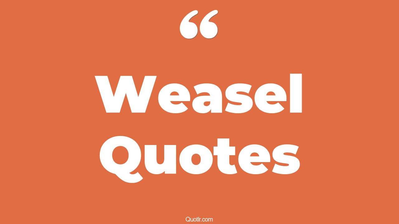 45+ Remarkable Weasel Quotes That Will Unlock Your True Potential