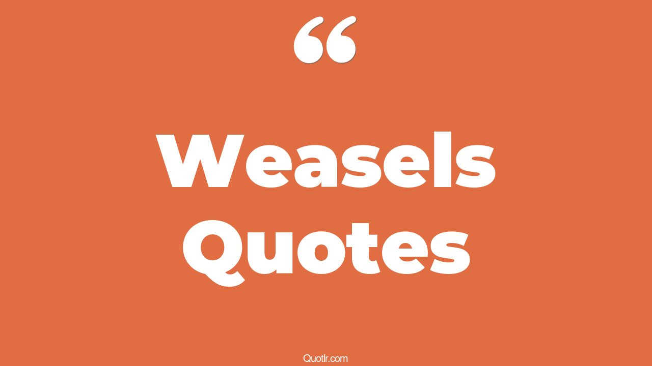 65 Remarkable Weasels Quotes (deadpool weasel, encino man weasel, night
