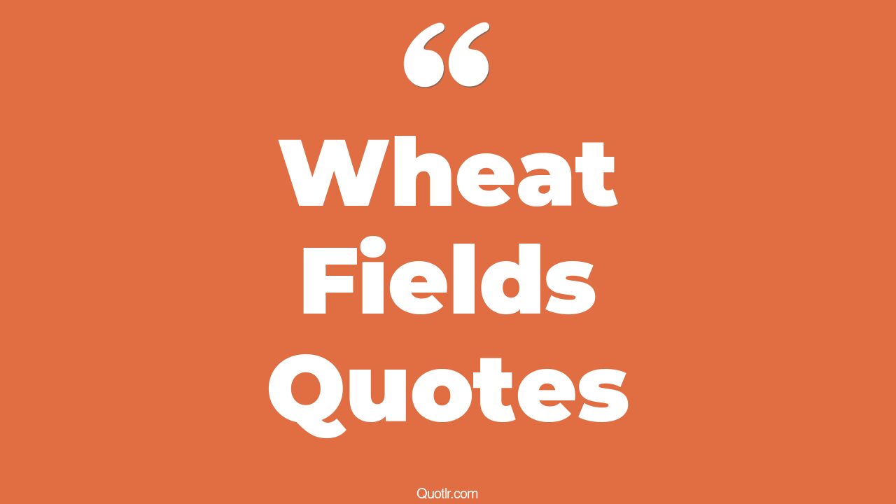 32+ Almighty Wheat Fields Quotes That Will Unlock Your True Potential