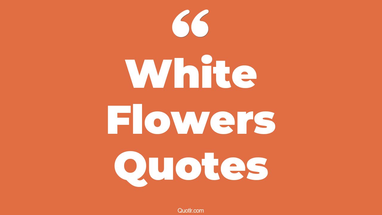 78+ Tremendous White Flowers Quotes That Will Unlock Your True Potential