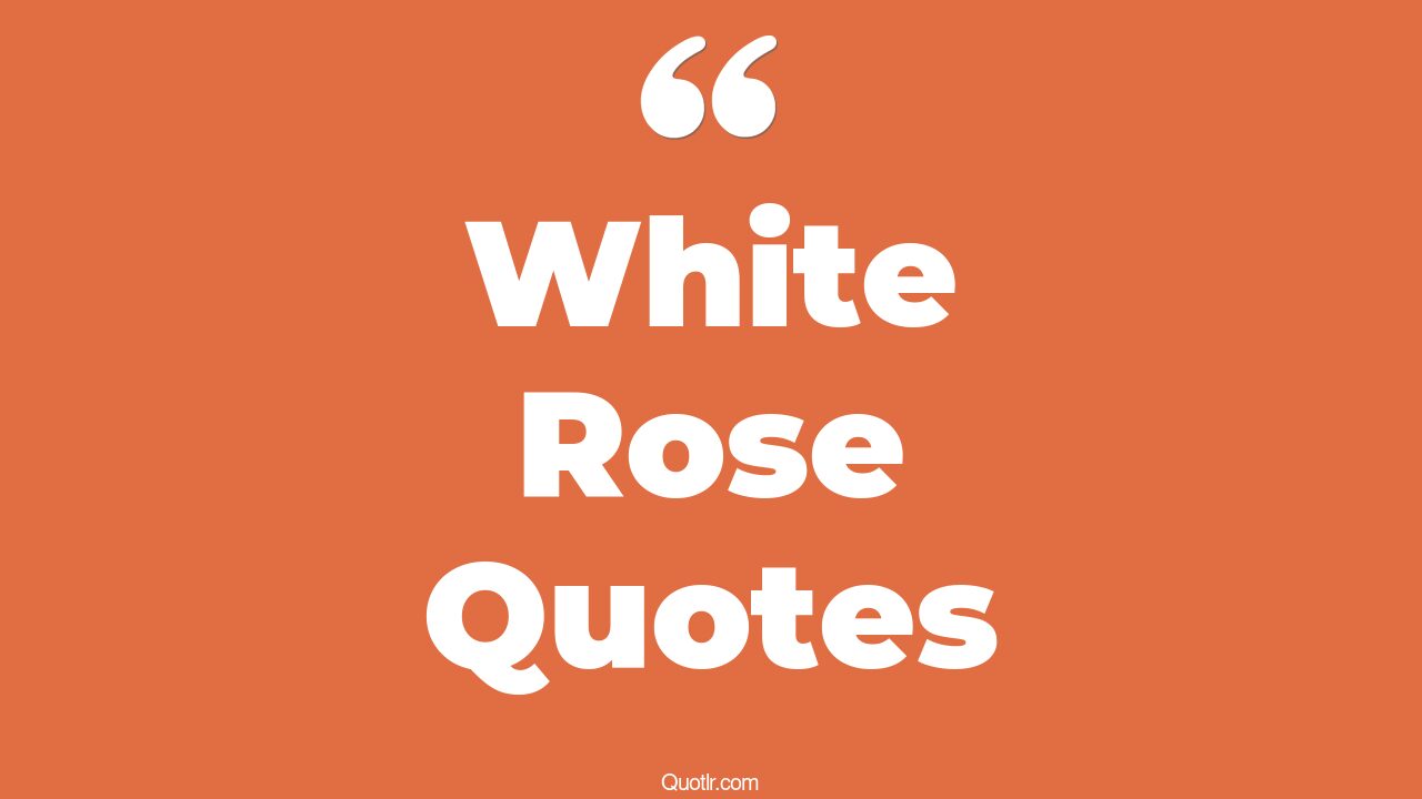 45+ Seductive White Rose Quotes That Will Unlock Your True Potential