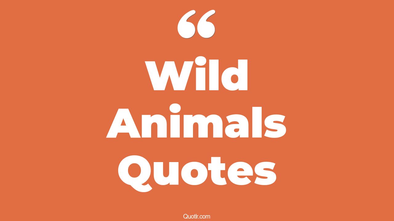 35+ EyeOpening Wild Animals Quotes That Will Inspire Your Inner Self