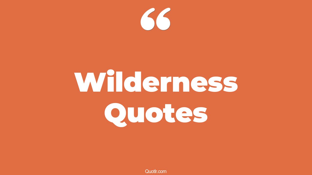 45 Seductive Into The Wilderness Quotes alone in the wilderness, best