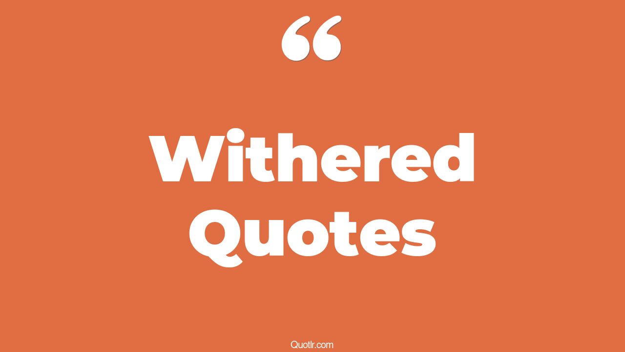 105 Bumbling Withered Quotes (flowers bloom and wither, flowers wither