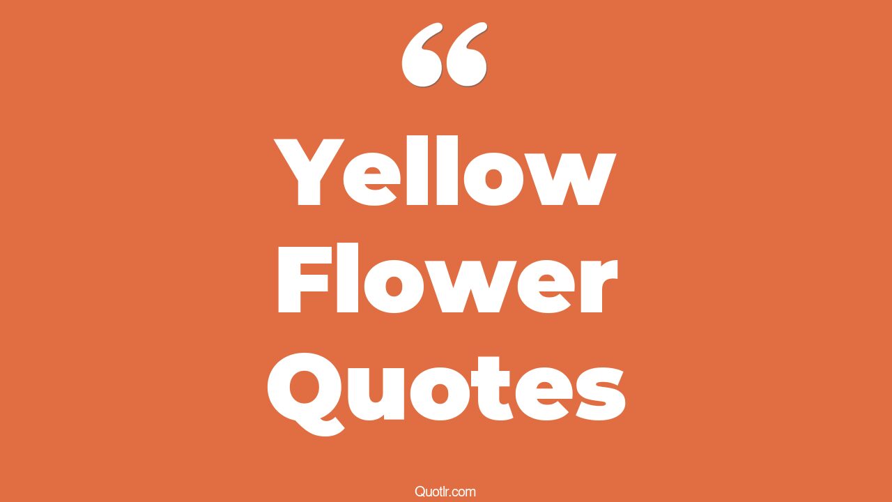 32+ Strong Yellow Flower Quotes That Will Unlock Your True Potential