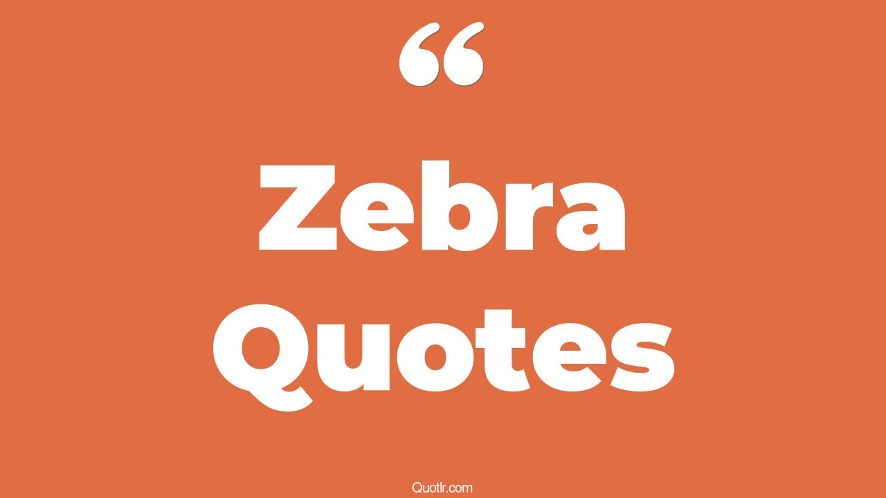 44+ Helpful Zebra Quotes That Will Unlock Your True Potential