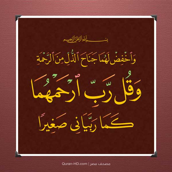 QuranHD 017024 رب ارحمهما كما ربياني صغيرا QuranHD