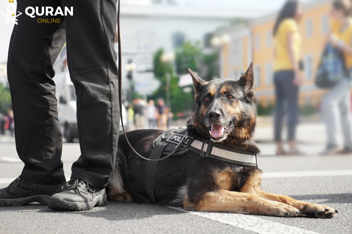 Is It Haram to Have a Dog for Protection? »