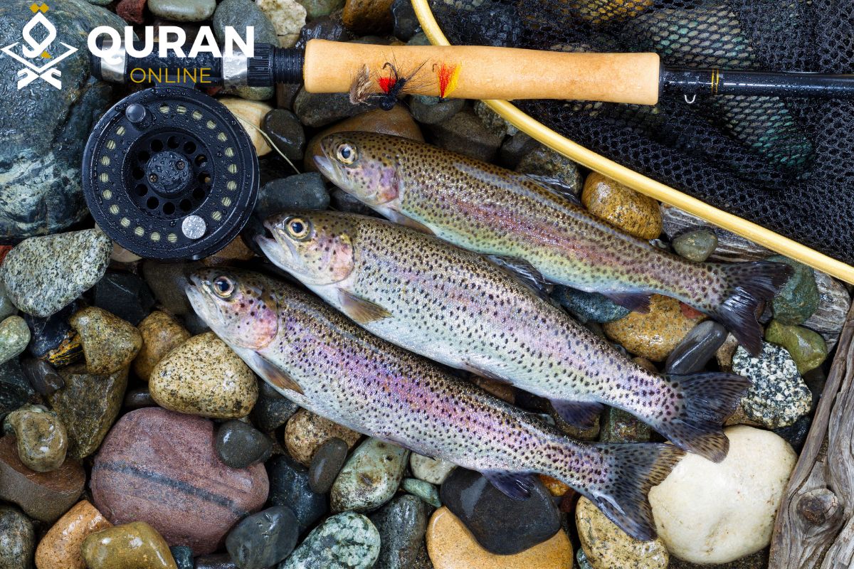 Is Fishing Haram? (For a Living, Sport, on a Saturday, etc) »