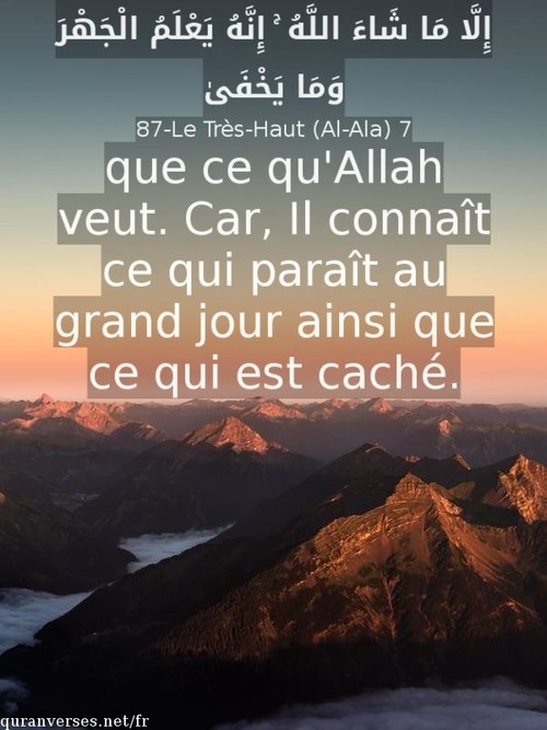 Versets sur Le fait que La foi n’est vue que par Allah Versets Du Coran