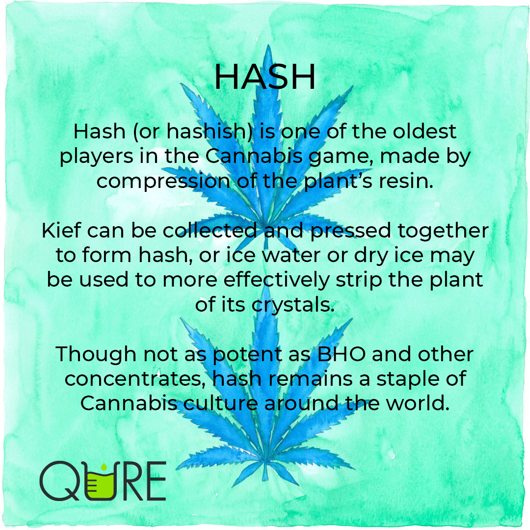 What is Hash? Qure