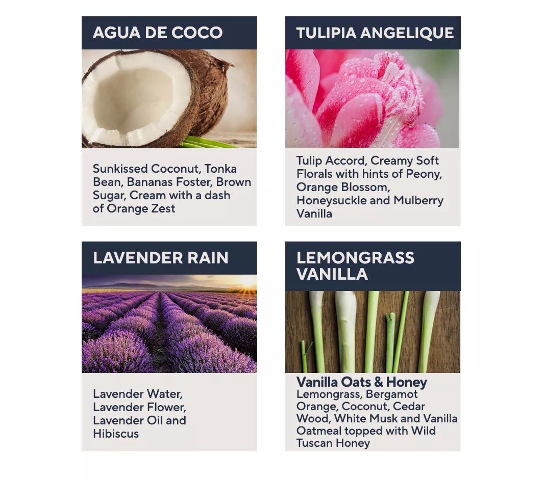 Tweak'd by Nature BIGwig VOLUmaker RootBoostRx Styler