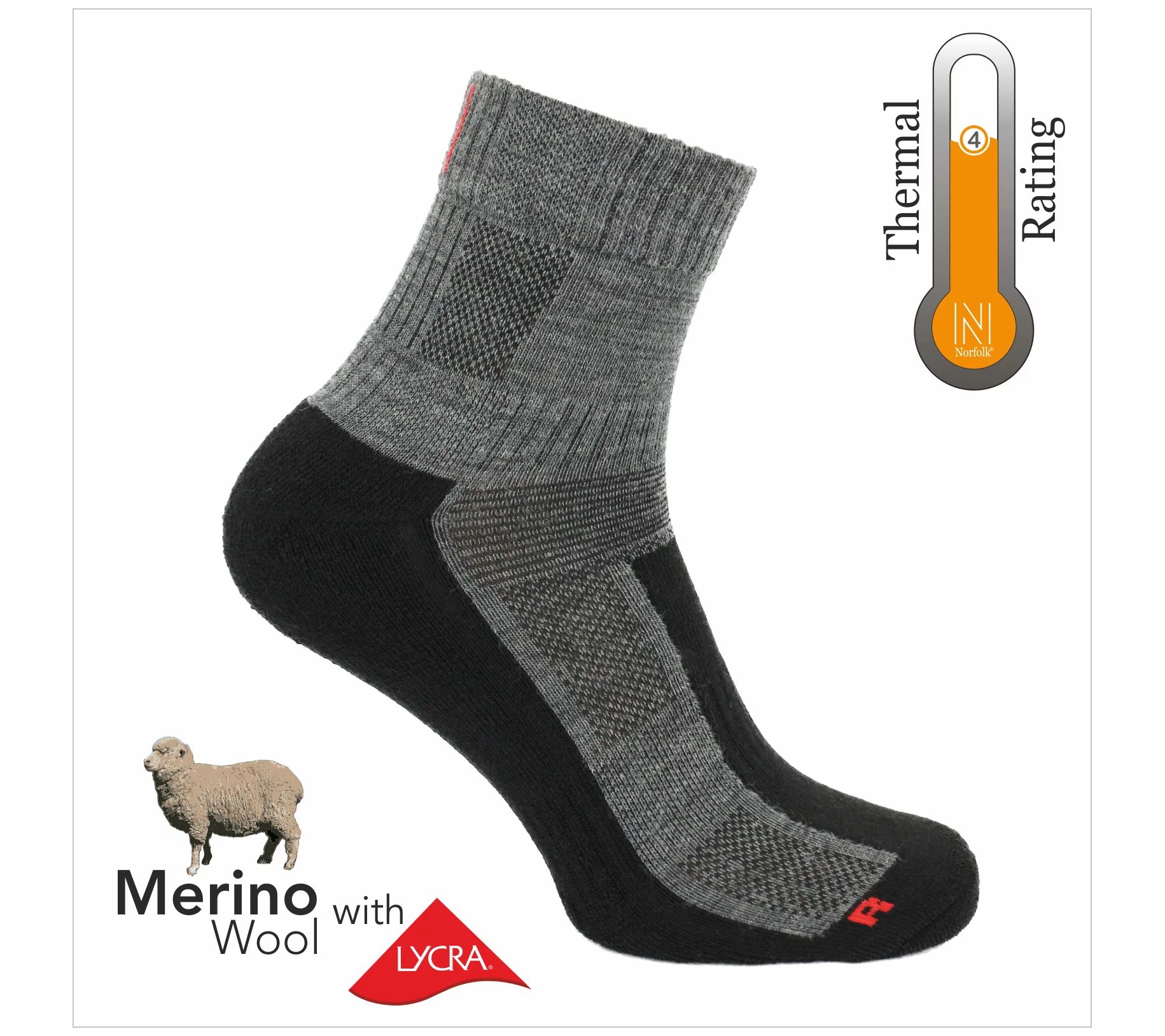 Norfolk 2Pack Lightweight Cushioned Merino Wool Quarter Socks