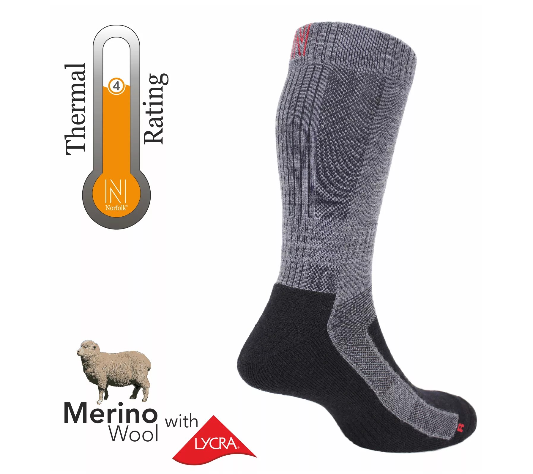 Norfolk Unisex S/2 Lightweight Cushioned MerinoCrew Socks