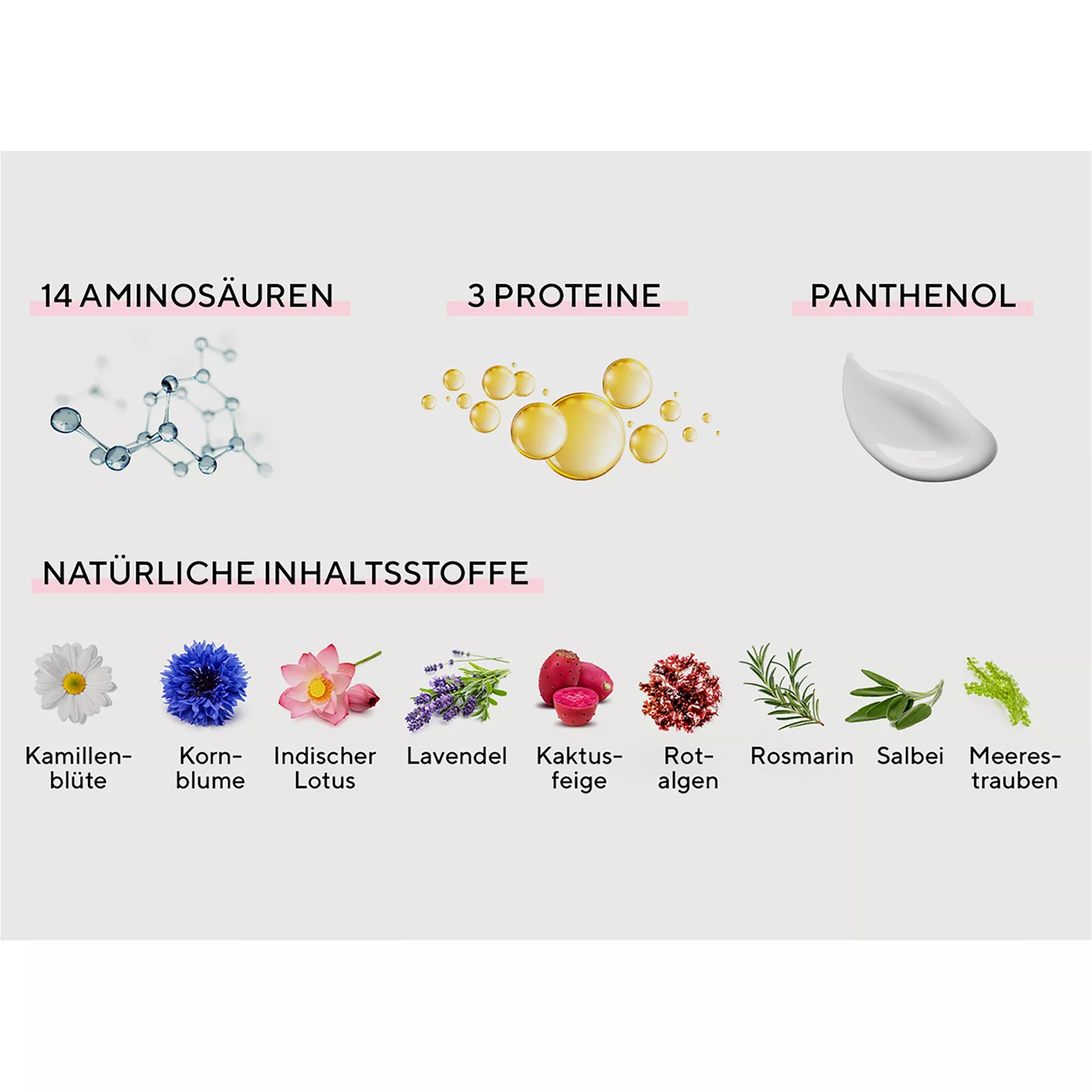 MOREMO Repair Shampoo R 300ml QVC.de