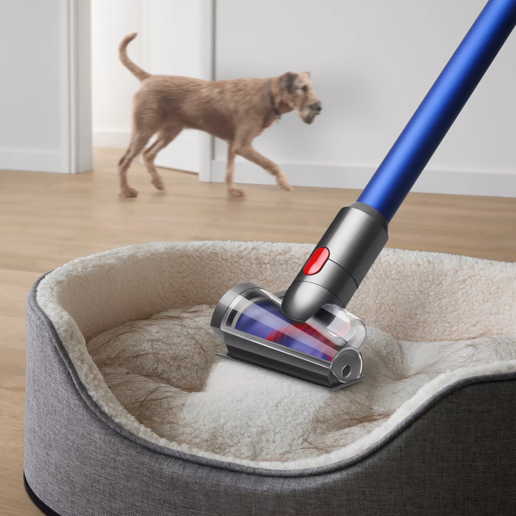 DYSON Erweitertes Reinigungsset passend für V8, V10, V11 & Outsize QVC.de