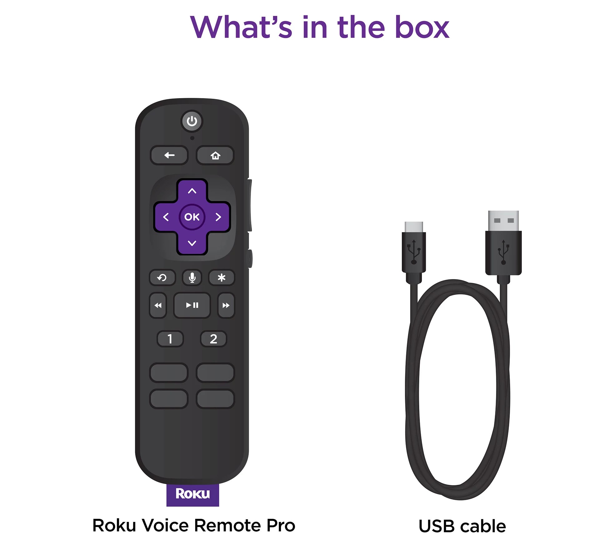 Roku Voice Remote Pro