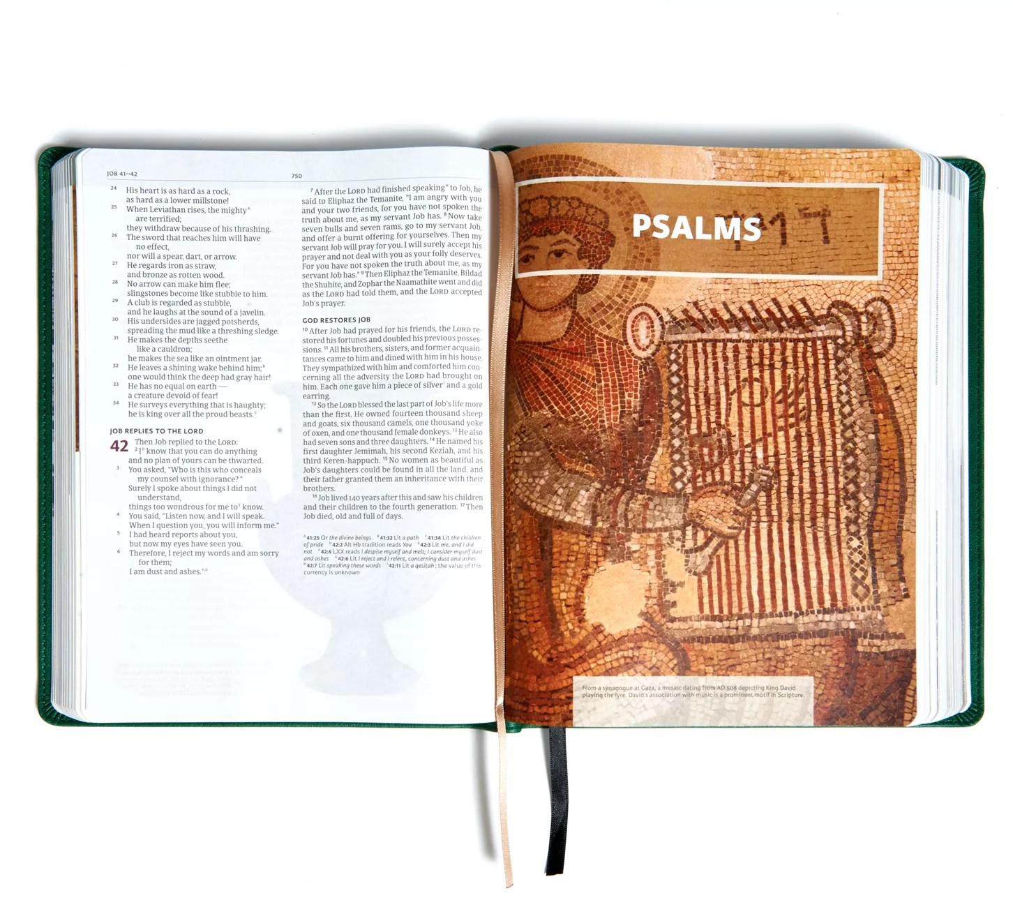 Lifeway Holy Land Illustrated Bible with Imagery & Maps