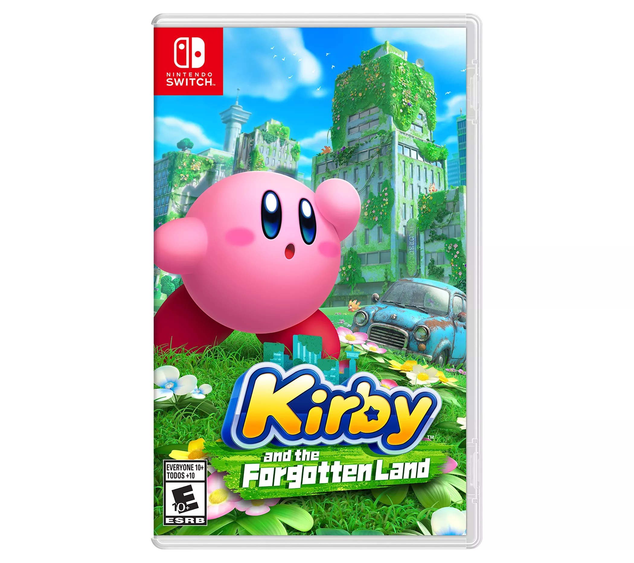 Kirby Vs Dyson Ultimate Showdown in Suction Savvy House Stopper