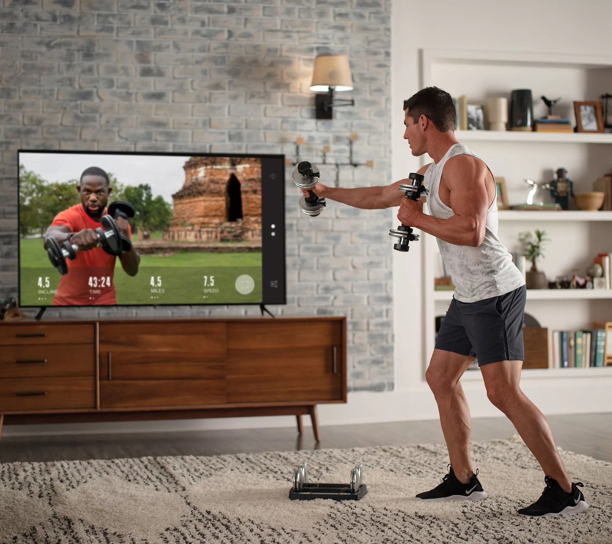 ProForm 25lb Adjustable Double Dumbbell Set