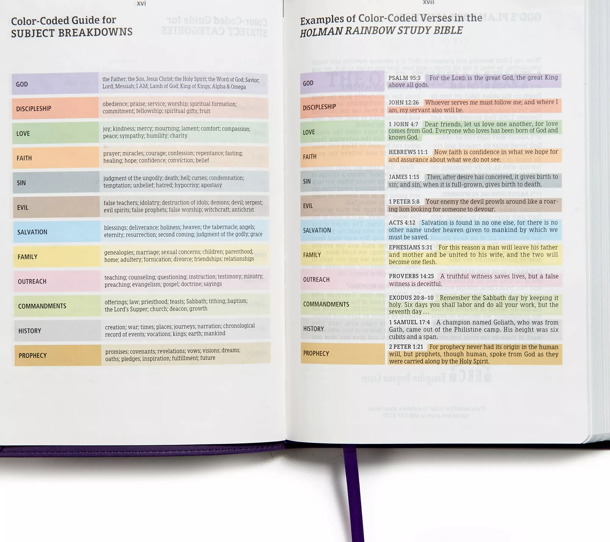 NIV Rainbow Study Bible with Color Coded Verses