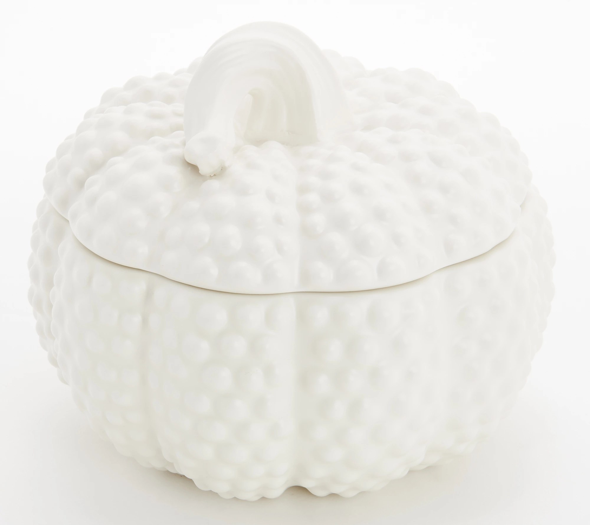 HomeWorx by Slatkin & Co. White 14oz Filled Hobnail Pumpkin Candle