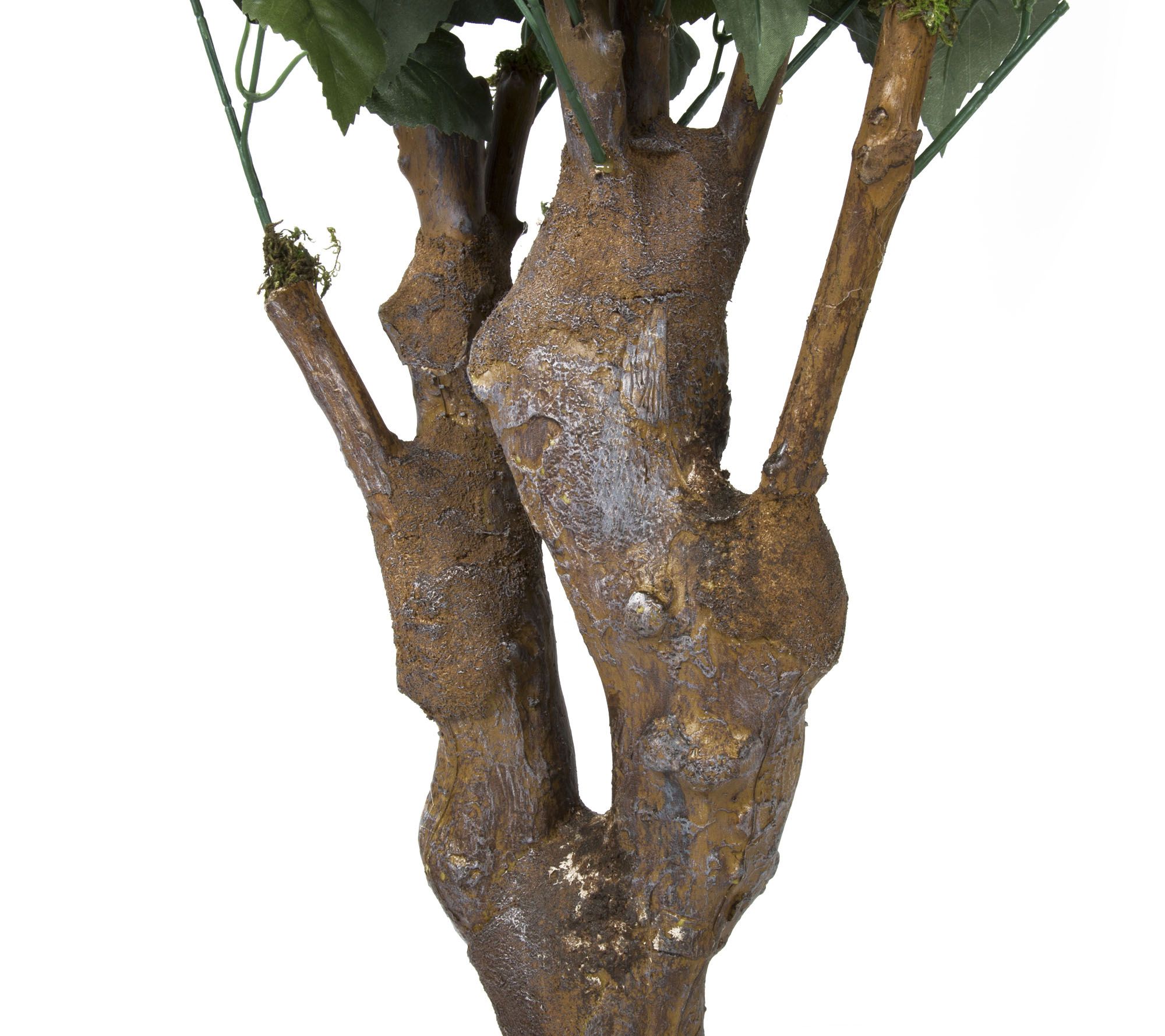 Pure Garden Hibiscus Tree with Flowers