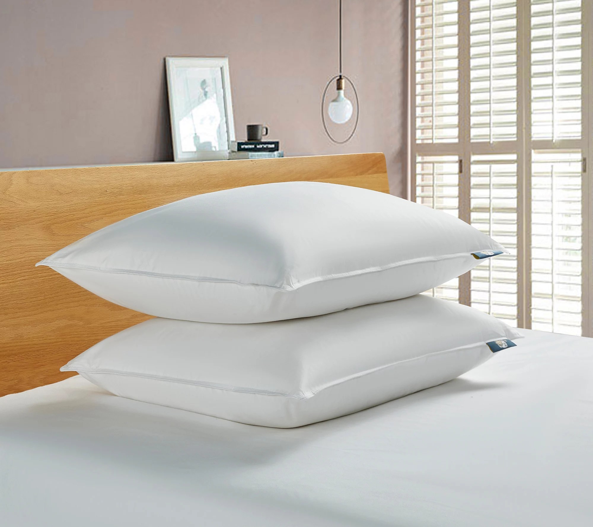 Serta Feather Pillow showroomgirls