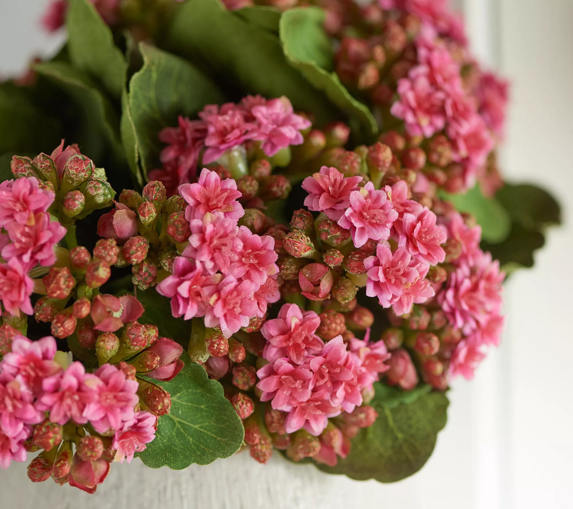 Set of 3 Faux Kalanchoe Plants by Valerie