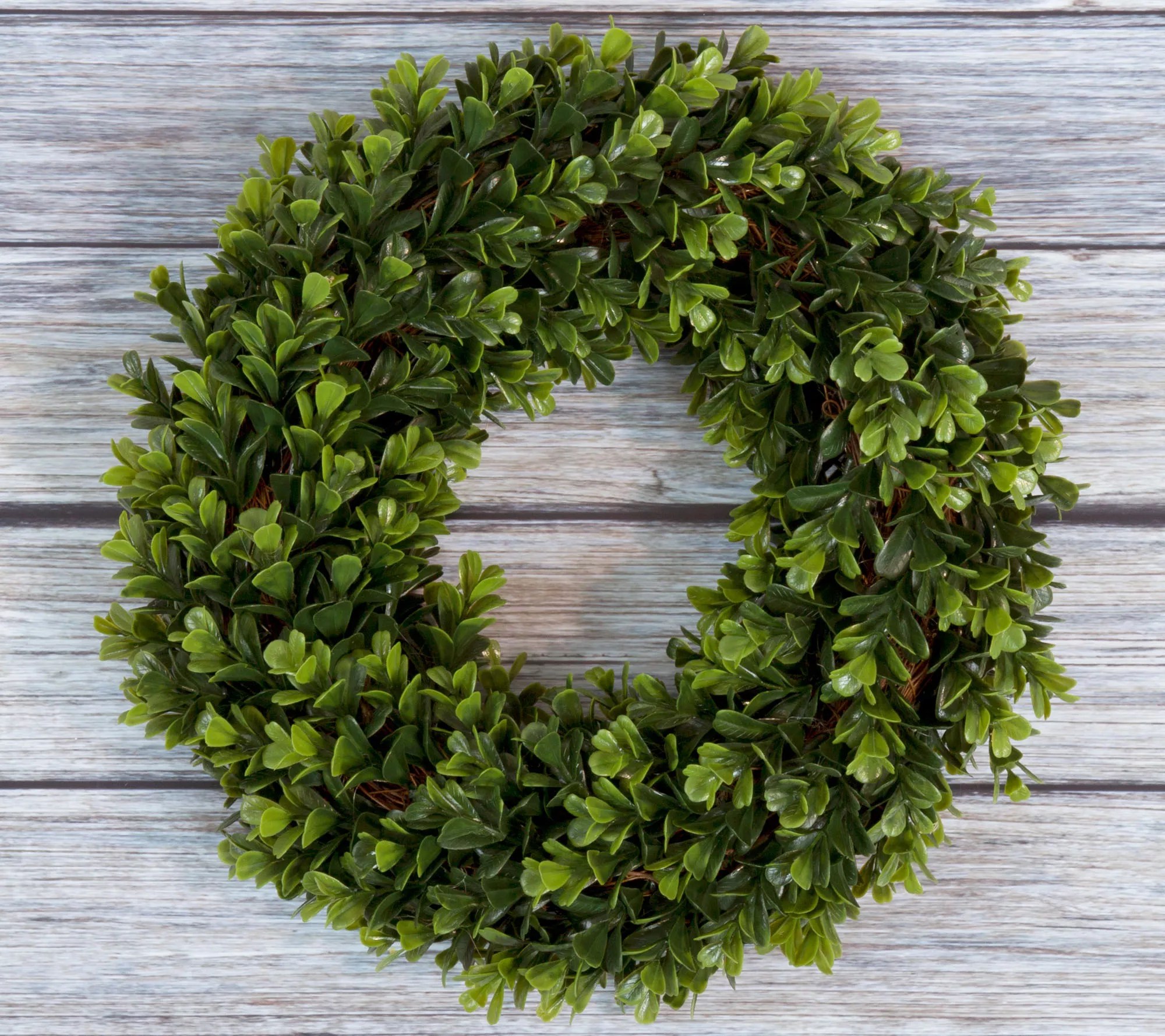 Pure Garden 14" Round Boxwood Wreath