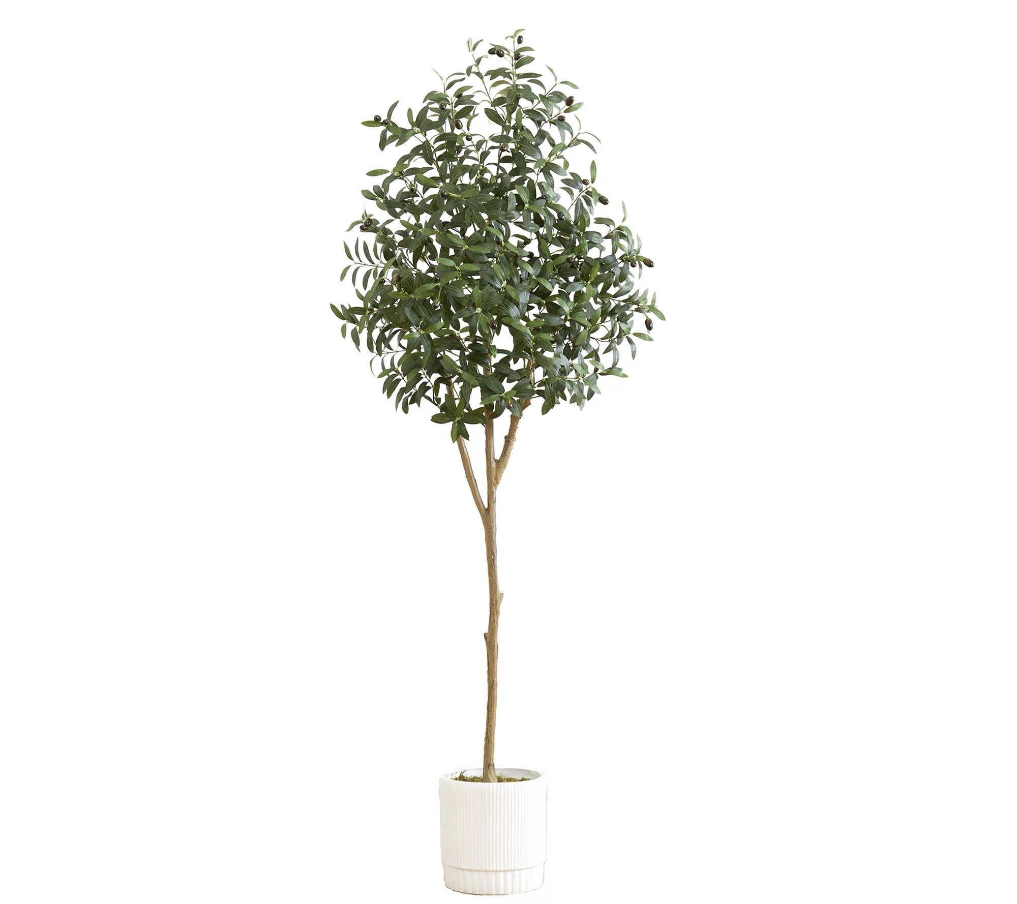Nearly Natural 6' Artificial Olive Tree with White Planter