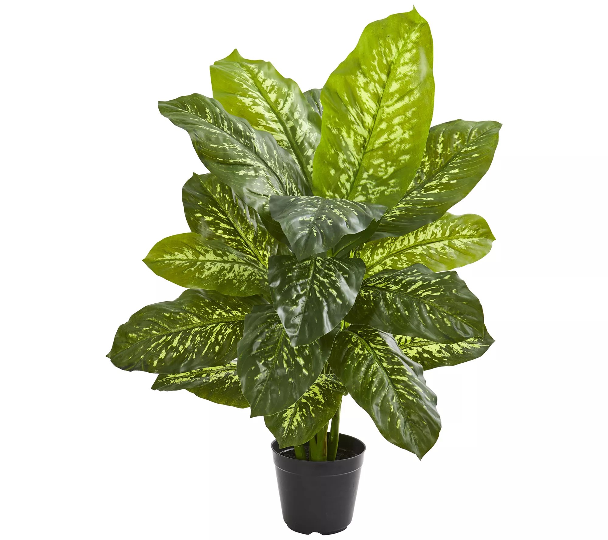 Nearly Natural 34" Dieffenbachia Artificial Plant (Real Touch)