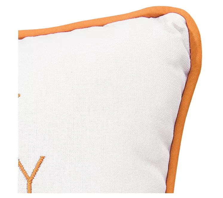 Every Summer Has A Story 10" x 10" Throw Pillowby Valerie