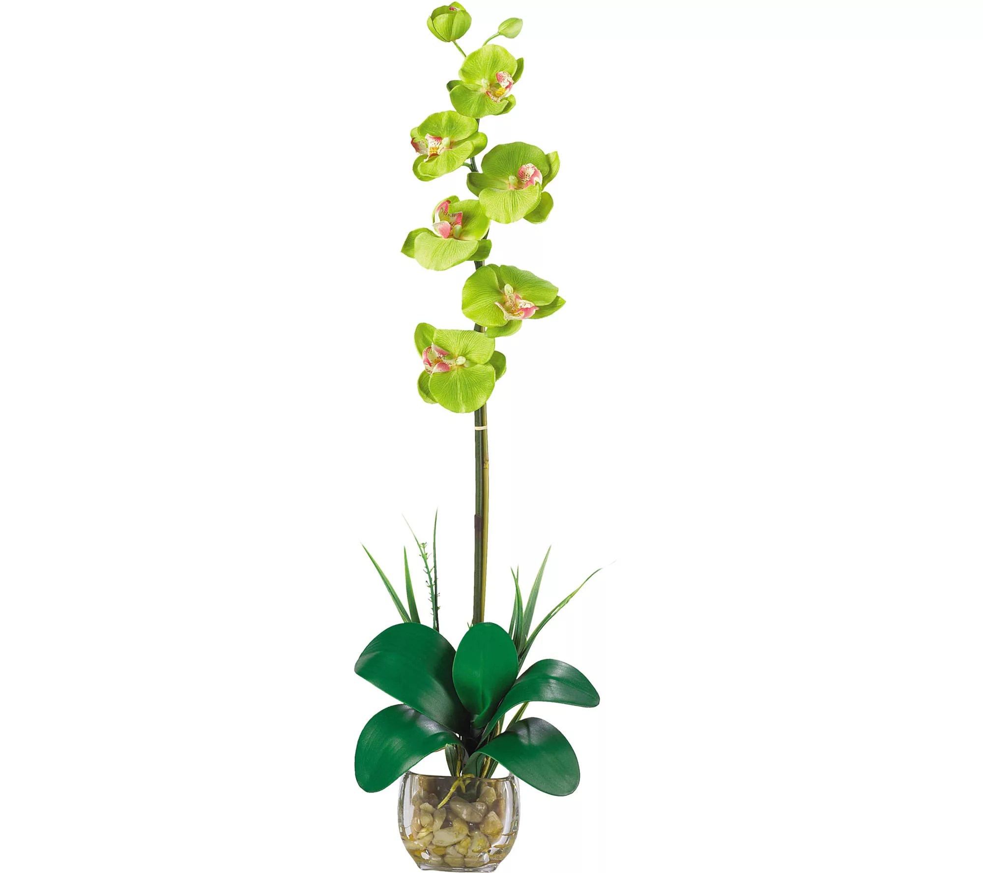 Single Phalaenopsis Flower Arrangement by Nearly Natural