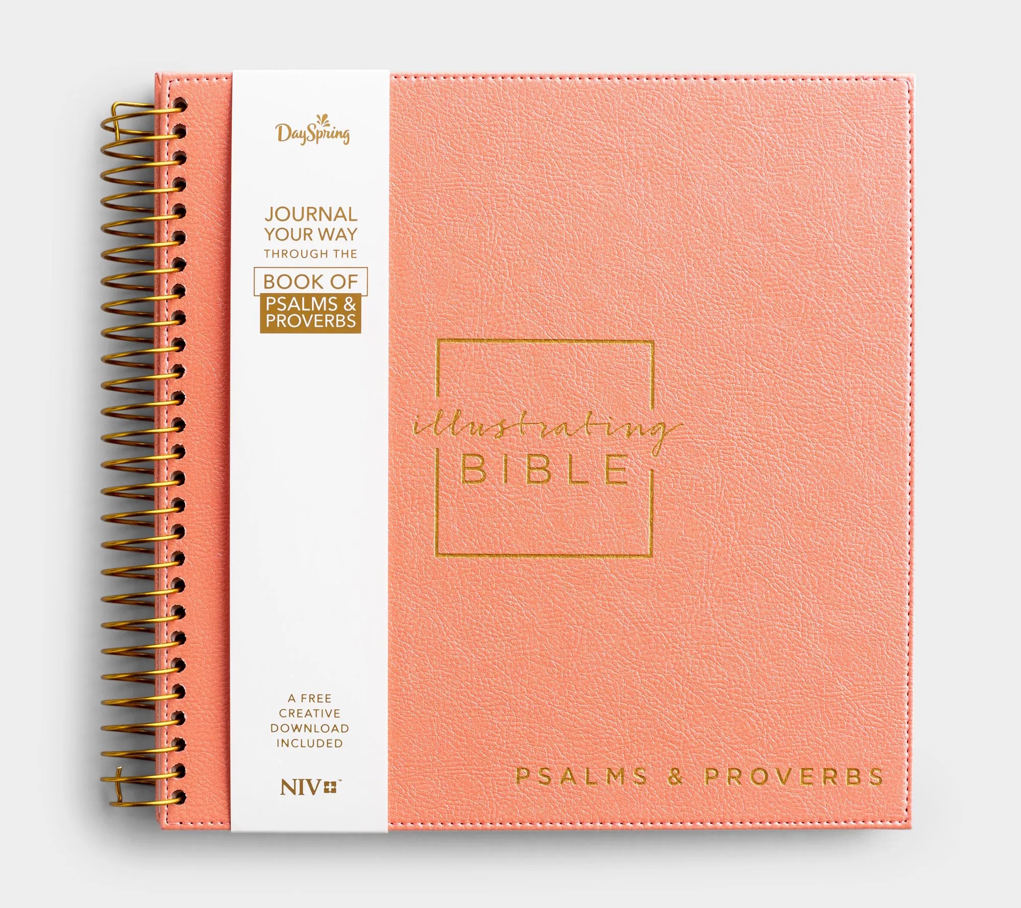 Dayspring NIV Illustrating Spiral Bound Books of the Bible