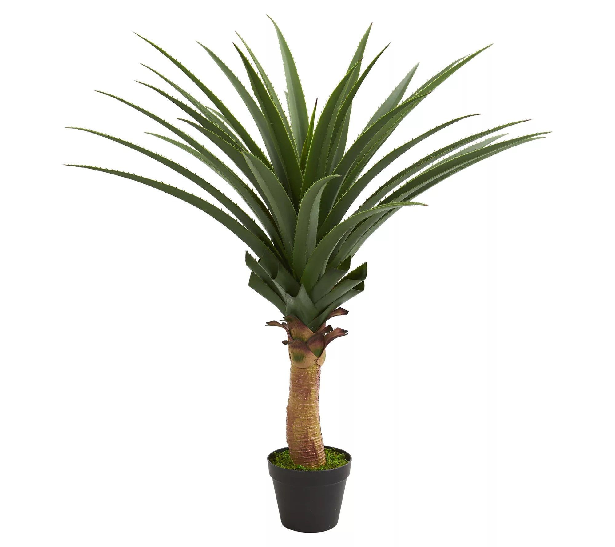 3.5' Agave Artificial Plant by Nearly Natural