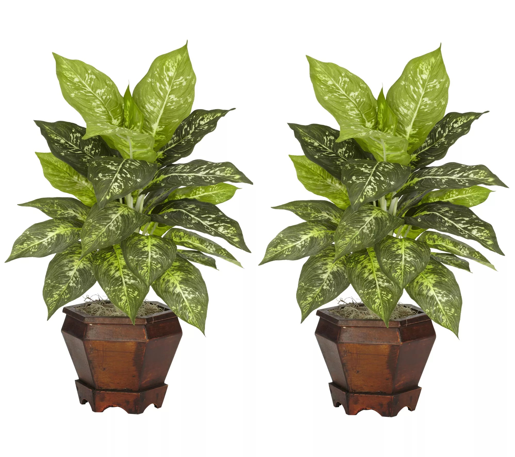Dieffenbachia w/Wood Vase Silk Plant (Set of 2)Varieagated