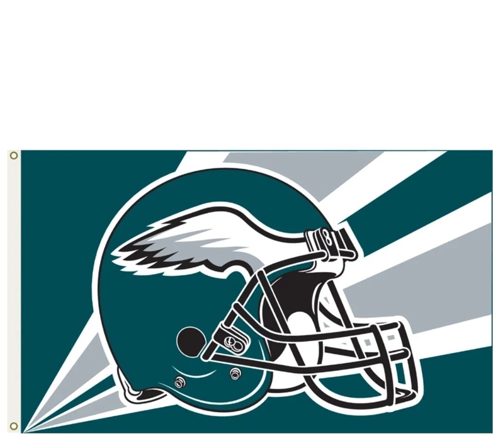 Annin NFL Team Flag with Grommets 3' x 5'