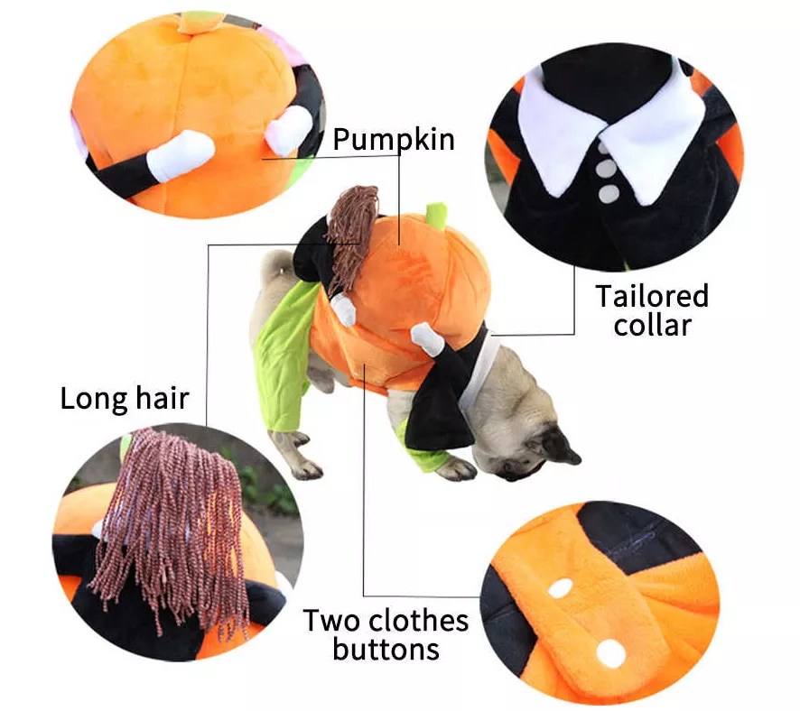 Pet Life 'Pumpkin Mon' Halloween Pet Dog Costume
