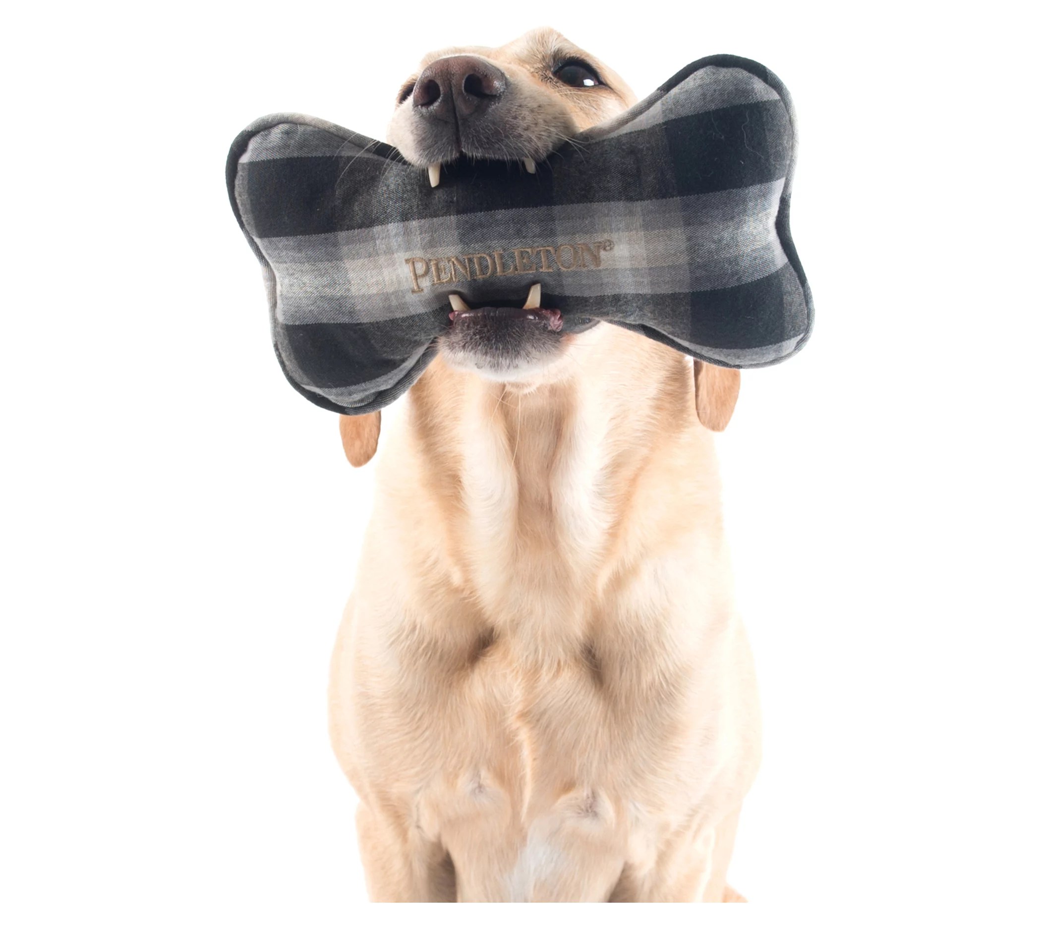 Pendleton Plaid Bone Dog Toy