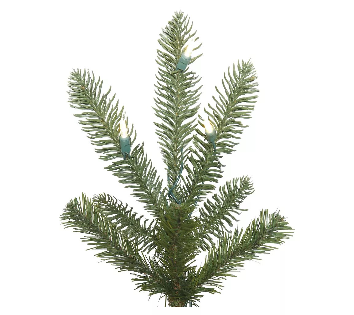 Vickerman 9' Alberta Spruce Artificial Christma s Tree WW