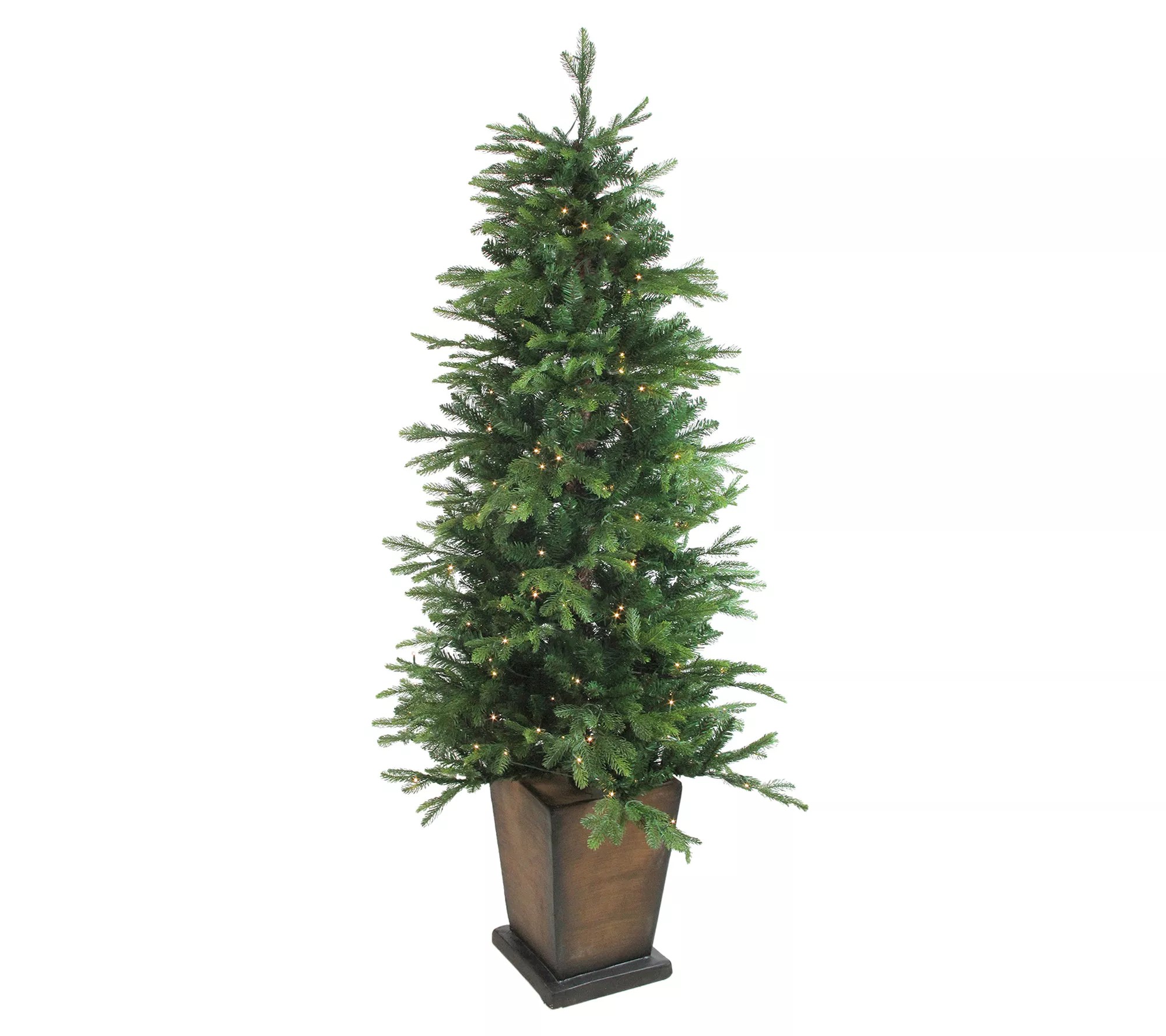 Northlight PreLit Potted Oregon Noble Fir Christmas Tree